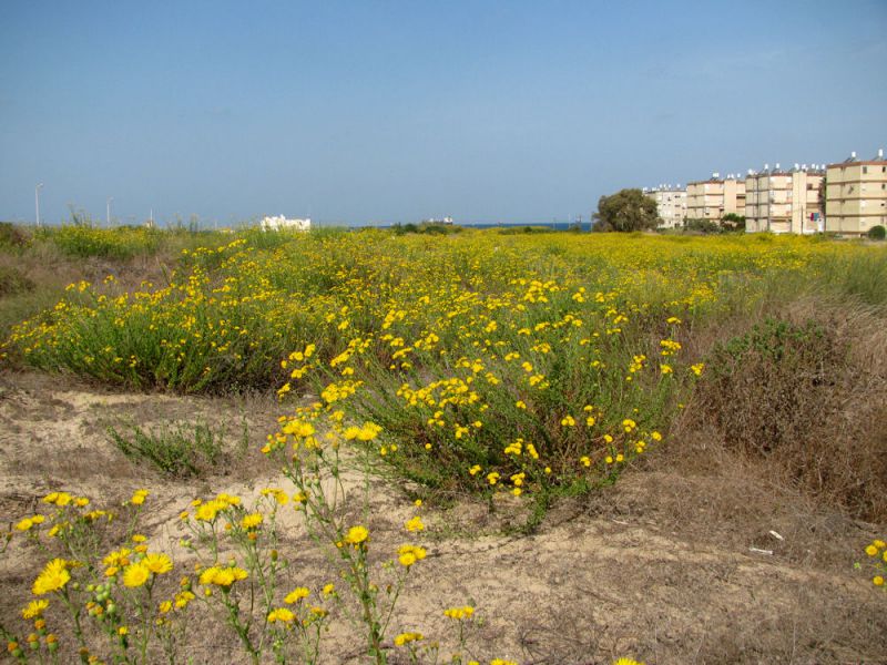 Kiryat Haim 24.10.2011.jpg