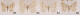 image001 mod.png