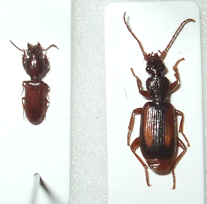 car part list 007.jpg