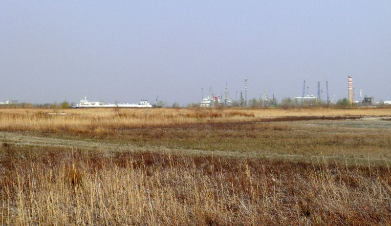 Lisert 25-III-2012 001.jpg