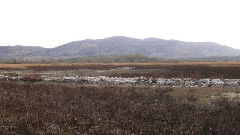 Lisert 25 - III - 2012 003.jpg