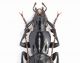Carabidae sp.4 L. 20.5 mm- Bosnia - Zelengora - Agosto 2011_2.JPG