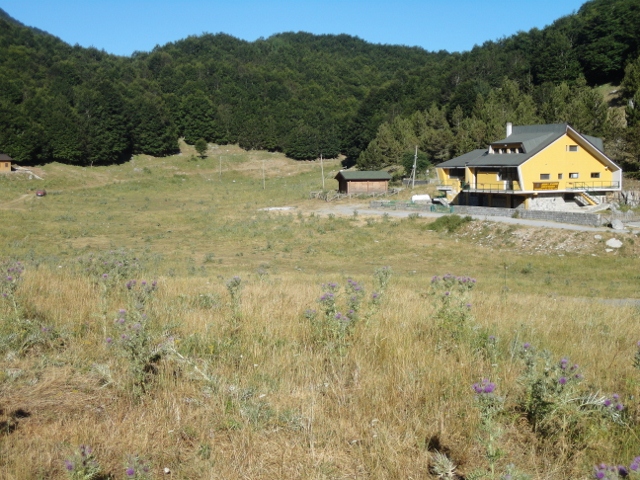 DSC00234 (640x480).jpg