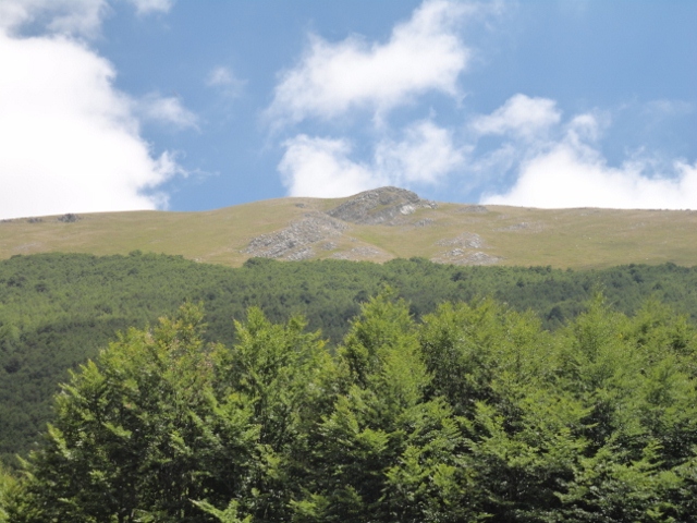 DSC00274 (640x480).jpg