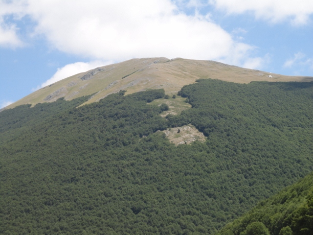 DSC00270 (640x480).jpg