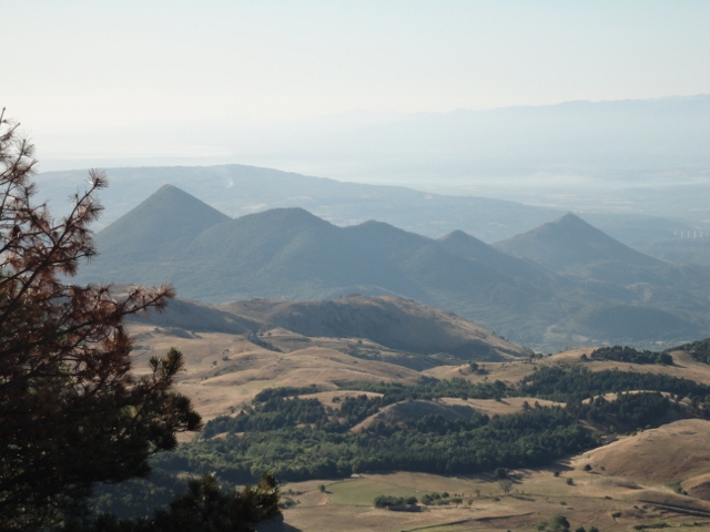 DSC00231 (640x480).jpg