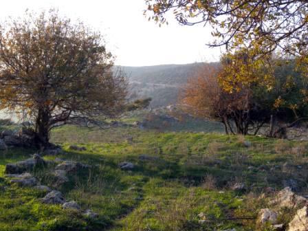 DSCN0744.JPG