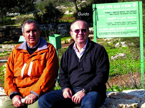 Sandro&Guido.jpg
