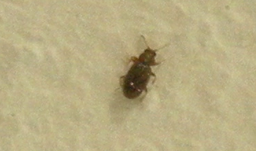 Schermata 06-2456104 alle 22.51.16.png