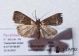 2012Sep20_0762.jpg